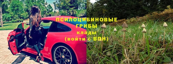 первитин Абинск