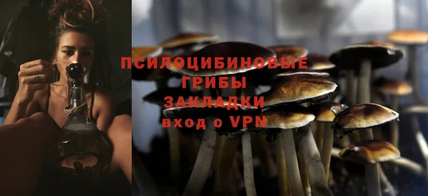 МДПВ Абдулино