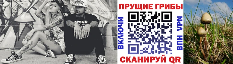 наркошоп  Усть-Катав  Галлюциногенные грибы Magic Shrooms 